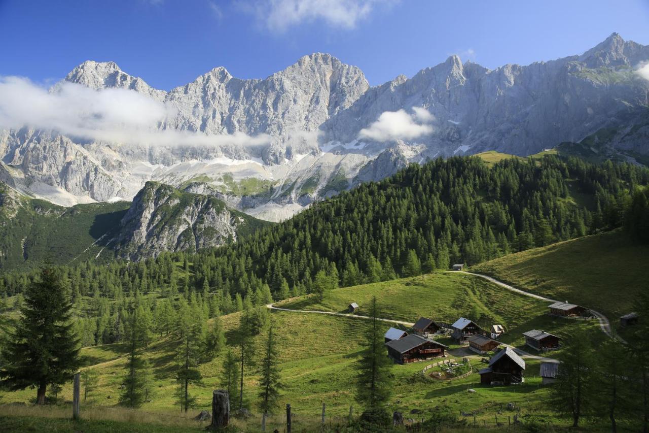 Pension Bergbauernhof Irxner Pichl-Preunegg Екстер'єр фото